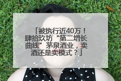 被执行近40万！肆拾玖坊“第二增长曲线”茅泉酒业，卖酒还是卖模式？