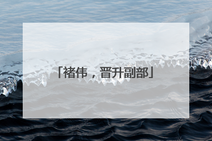 褚伟，晋升副部