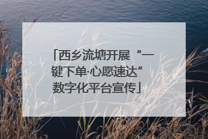 西乡流塘开展“一键下单·心愿速达”数字化平台宣传