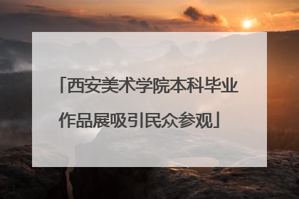 西安美术学院本科毕业作品展吸引民众参观