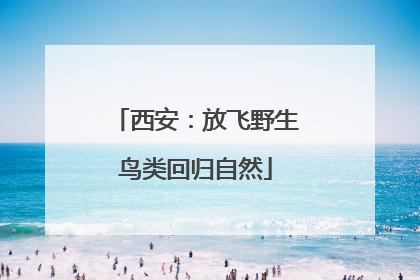 西安：放飞野生鸟类回归自然