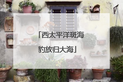 西太平洋斑海豹放归大海
