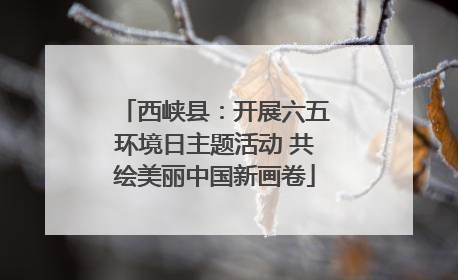 西峡县：开展六五环境日主题活动 共绘美丽中国新画卷