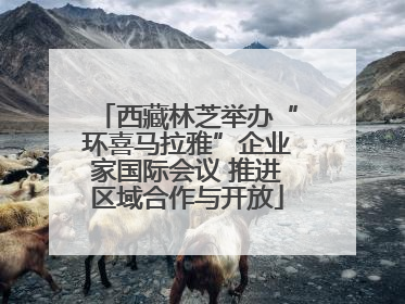 西藏林芝举办“环喜马拉雅”企业家国际会议 推进区域合作与开放