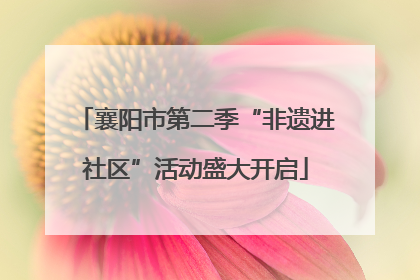 襄阳市第二季“非遗进社区”活动盛大开启