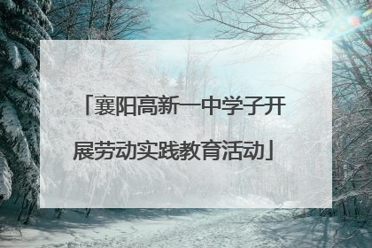 襄阳高新一中学子开展劳动实践教育活动