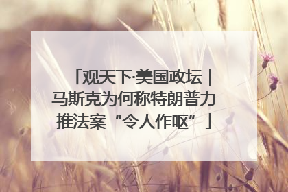 观天下·美国政坛｜马斯克为何称特朗普力推法案“令人作呕”