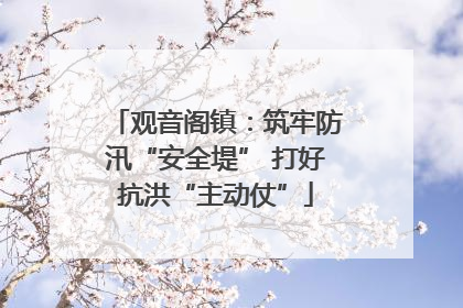观音阁镇：筑牢防汛“安全堤” 打好抗洪“主动仗”