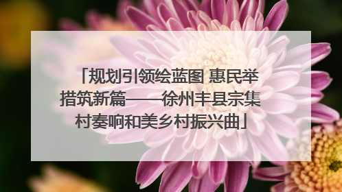 规划引领绘蓝图 惠民举措筑新篇——徐州丰县宗集村奏响和美乡村振兴曲
