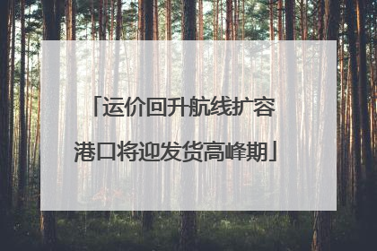 运价回升航线扩容 港口将迎发货高峰期