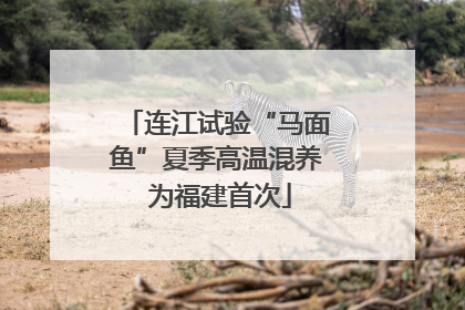 连江试验“马面鱼”夏季高温混养 为福建首次