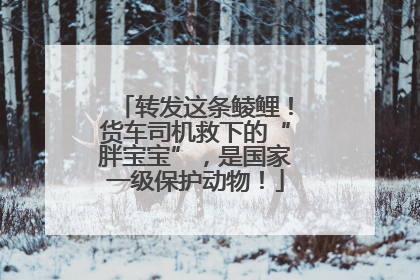 转发这条鲮鲤！货车司机救下的“胖宝宝”，是国家一级保护动物！