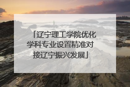辽宁理工学院优化学科专业设置精准对接辽宁振兴发展