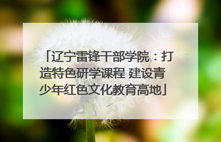 辽宁雷锋干部学院：打造特色研学课程 建设青少年红色文化教育高地