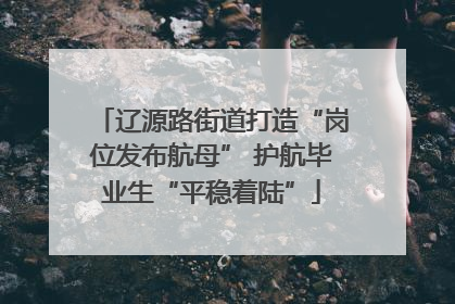 辽源路街道打造“岗位发布航母” 护航毕业生“平稳着陆”