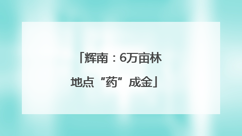 辉南：6万亩林地点“药”成金