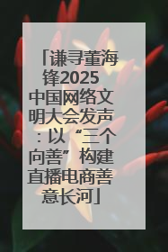 谦寻董海锋2025中国网络文明大会发声：以“三个向善”构建直播电商善意长河