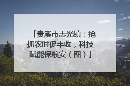 贵溪市志光镇：抢抓农时促丰收，科技赋能保粮安（图）