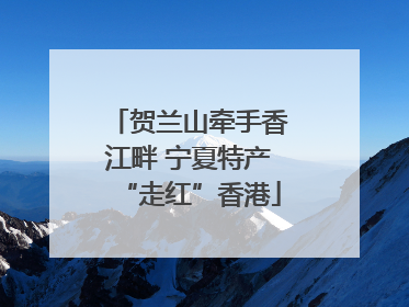 贺兰山牵手香江畔 宁夏特产“走红”香港