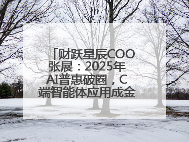 财跃星辰COO张展：2025年AI普惠破圈，C端智能体应用成金融转型关键