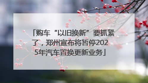 购车“以旧换新”要抓紧了，郑州宣布将暂停2025年汽车置换更新业务