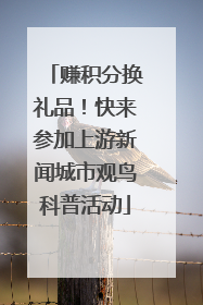 赚积分换礼品！快来参加上游新闻城市观鸟科普活动