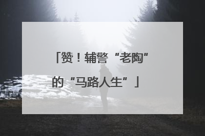 赞！辅警“老陶”的“马路人生”