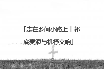 走在乡间小路上丨祁底麦浪与机杼交响
