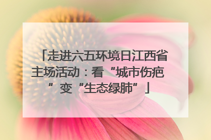 走进六五环境日江西省主场活动：看“城市伤疤”变“生态绿肺”