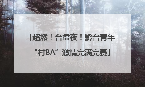 超燃！台盘夜！黔台青年“村BA”激情完满完赛