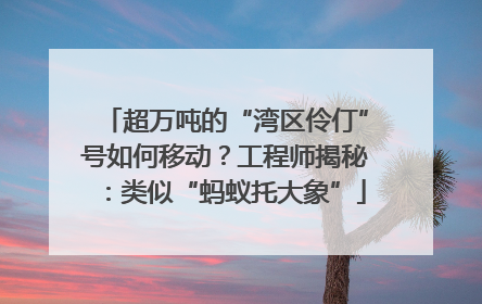 超万吨的“湾区伶仃”号如何移动？工程师揭秘：类似“蚂蚁托大象”