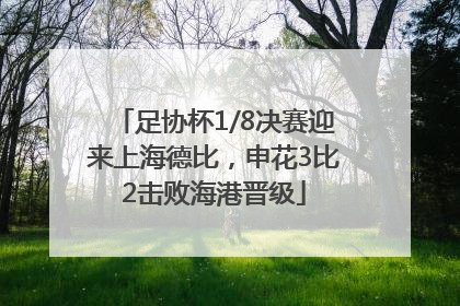 足协杯1/8决赛迎来上海德比，申花3比2击败海港晋级