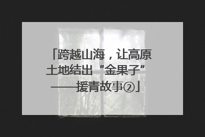 跨越山海，让高原土地结出“金果子”——援青故事②