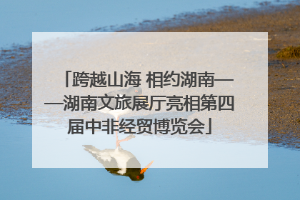 跨越山海 相约湖南——湖南文旅展厅亮相第四届中非经贸博览会