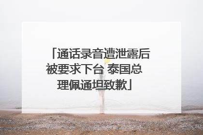通话录音遭泄露后被要求下台 泰国总理佩通坦致歉