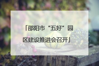 邵阳市“五好”园区建设推进会召开
