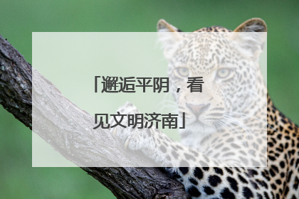 邂逅平阴，看见文明济南