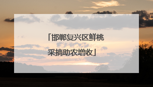 邯郸复兴区鲜桃采摘助农增收