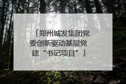 郑州城发集团党委创新驱动基层党建“书记项目”
