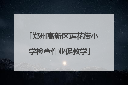 郑州高新区莲花街小学检查作业促教学