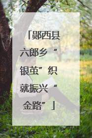 郧西县六郎乡“银茧”织就振兴“金路”
