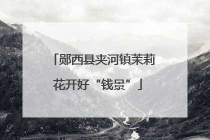 郧西县夹河镇茉莉花开好“钱景”