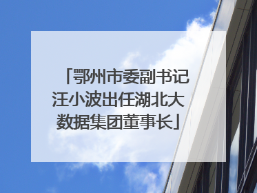 鄂州市委副书记汪小波出任湖北大数据集团董事长