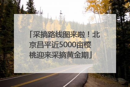 采摘路线图来啦!北京昌平近5000亩樱桃迎来采摘黄金期