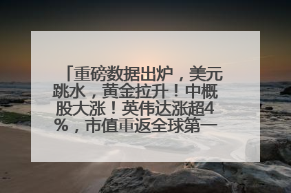 重磅数据出炉，美元跳水，黄金拉升！中概股大涨！英伟达涨超4%，市值重返全球第一！黄仁勋计划出售至多600万股股票