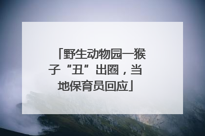 野生动物园一猴子“丑”出圈，当地保育员回应