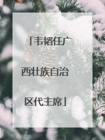 韦韬任广西壮族自治区代主席