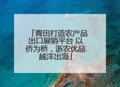 青田打造农产品出口展销平台 以侨为桥，浙农优品越洋出海