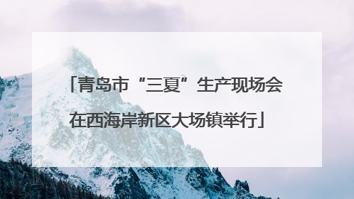 青岛市“三夏”生产现场会在西海岸新区大场镇举行