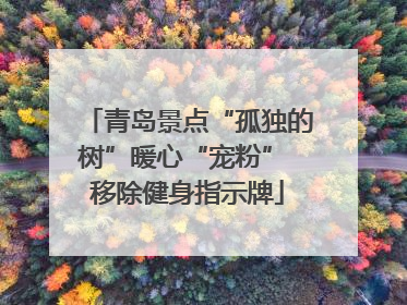青岛景点“孤独的树”暖心“宠粉” 移除健身指示牌